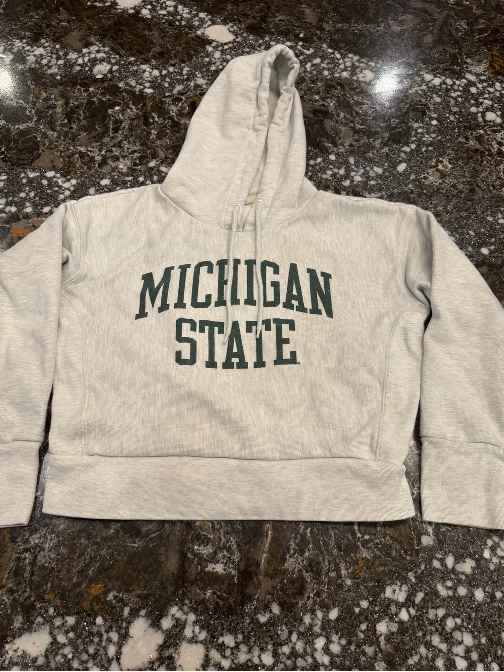 Champion Reverse Weave Hoodie in Heather Gray with Dark Green Print